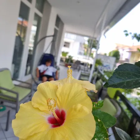 Hotel Kim Rimini